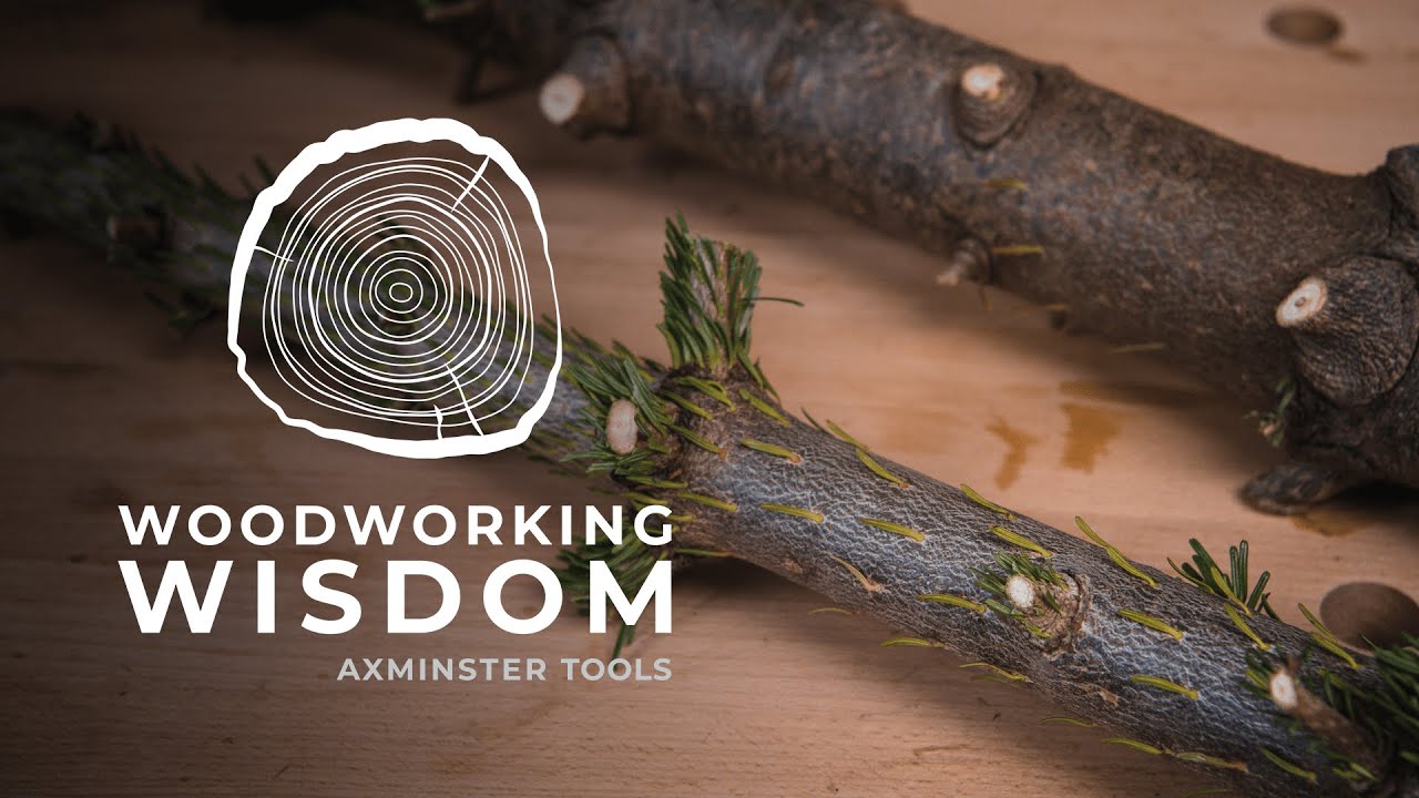 Christmas Tree Woodturning Challenge - Woodworking Wisdom