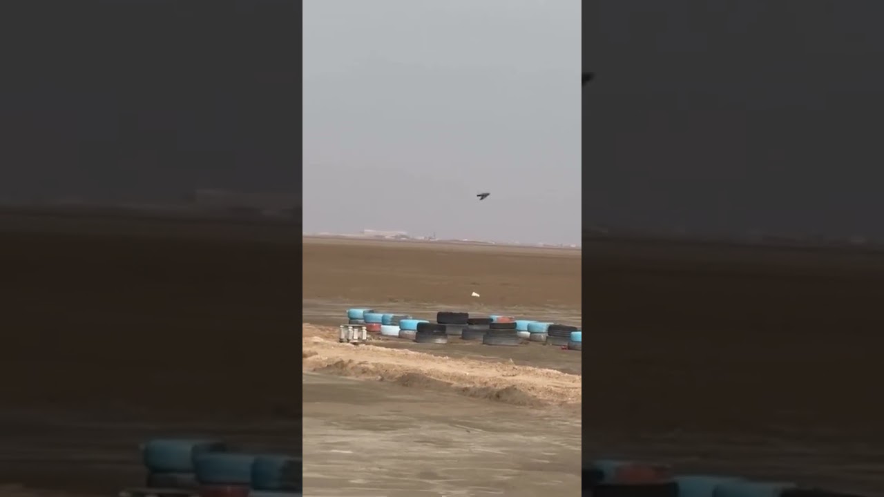 حمام لوت ما شاء الله طير سجاد من هوات العراق  2026/1/28 