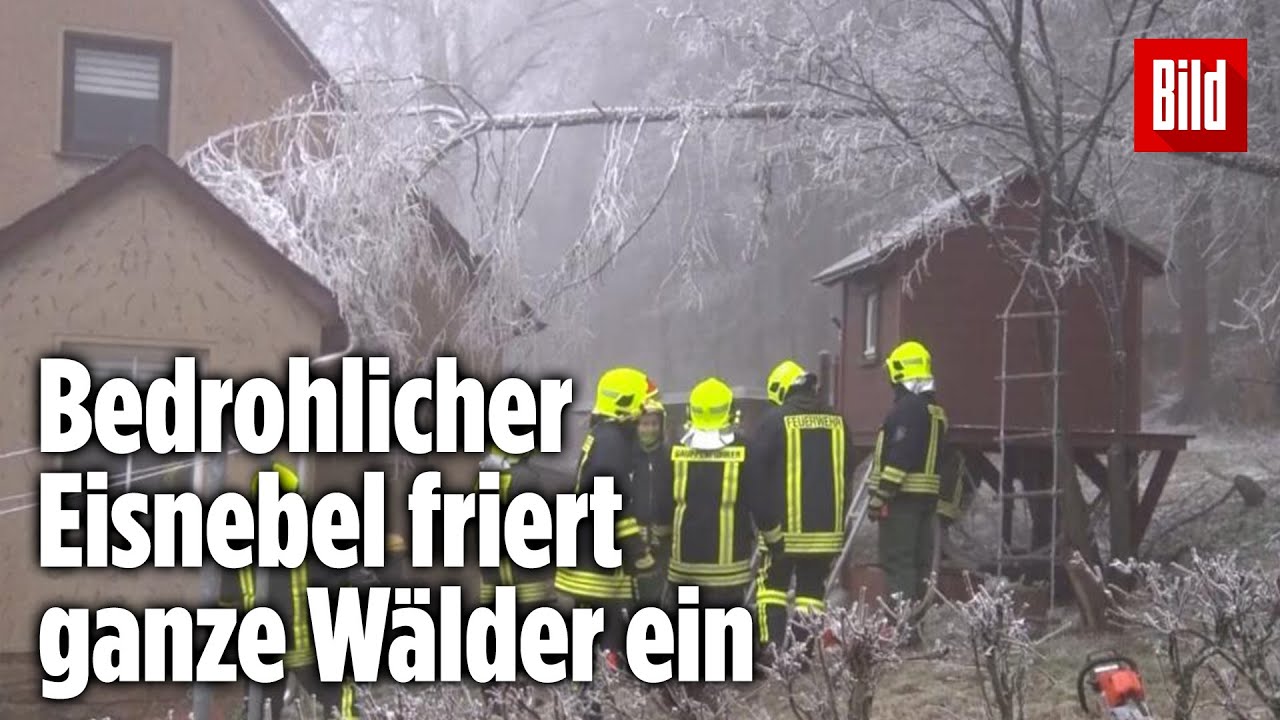 Spektakuläres Wetterphänomen: Eisnebel friert ganze Wälder ein | Erzgebirge