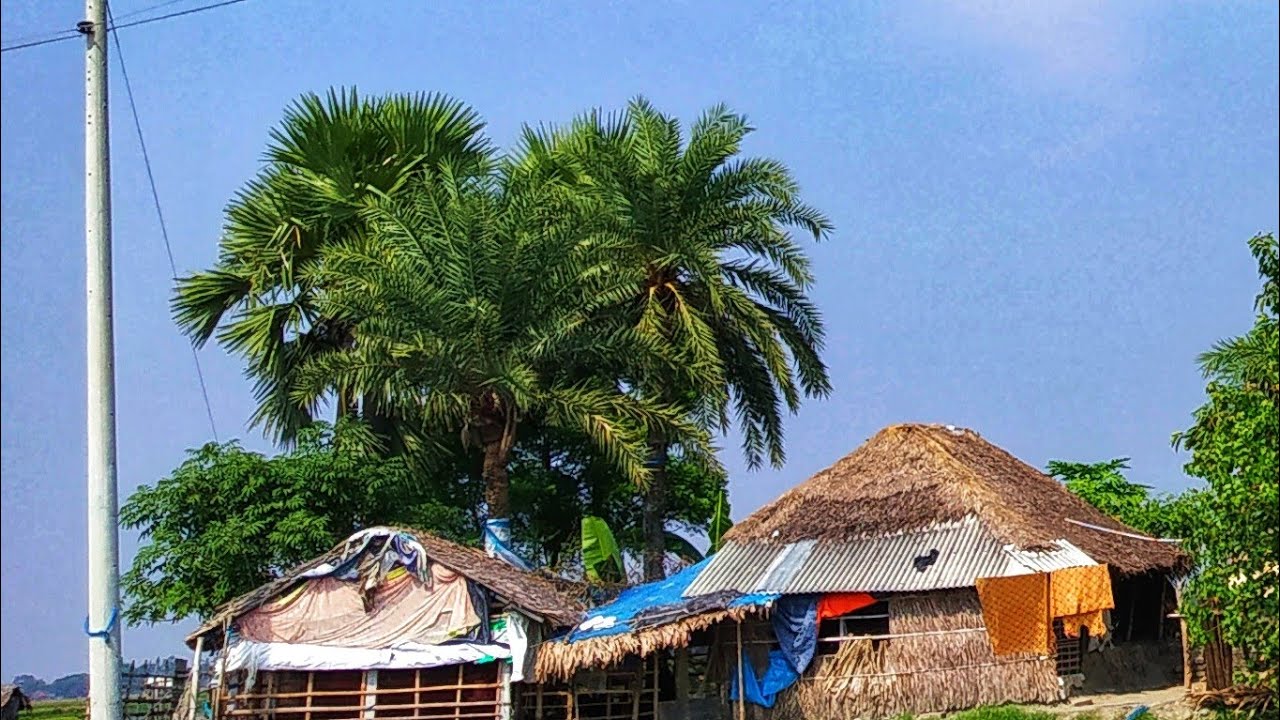 লাইভ করতে করতে ক্লান্ত হয়ে যাচ্ছি