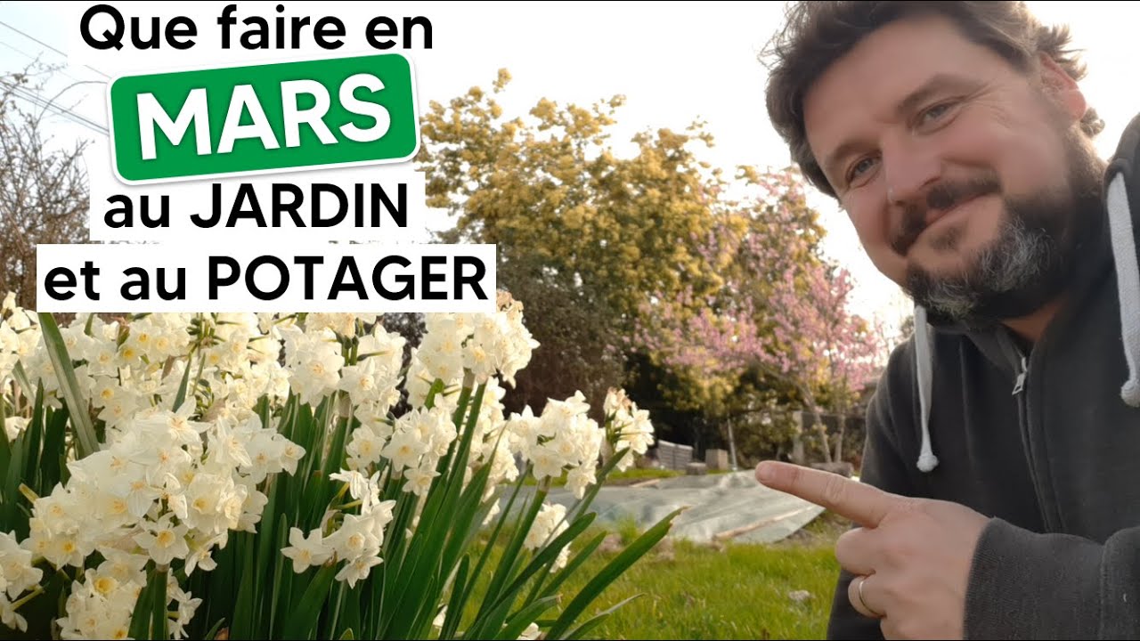 Ce que je fais en MARS au jardin et au potager