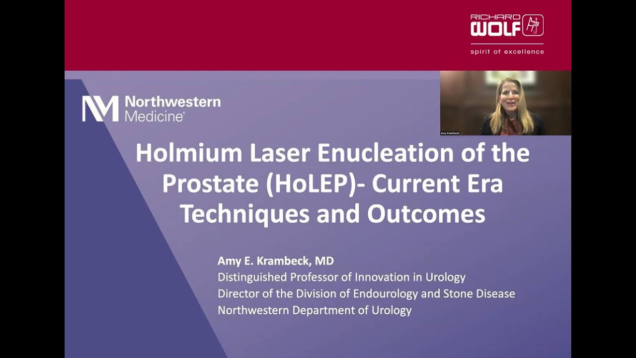 Holmium Laser Enucleation of the Prostate (HoLEP)&mdash;Current Era Techniques and Outcomes