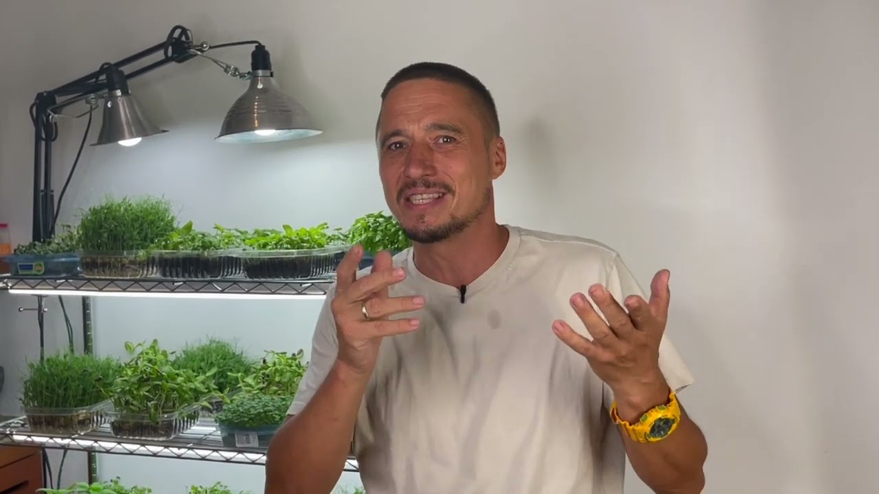 ФЕРМА МИКРОЗЕЛЕНИ  - что нужно для старта ?!