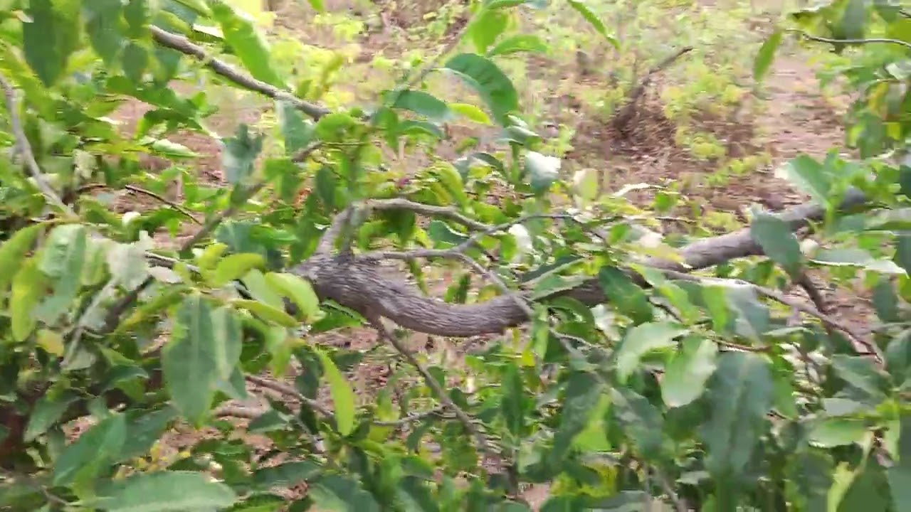 Spécial secret n°2 sur le 