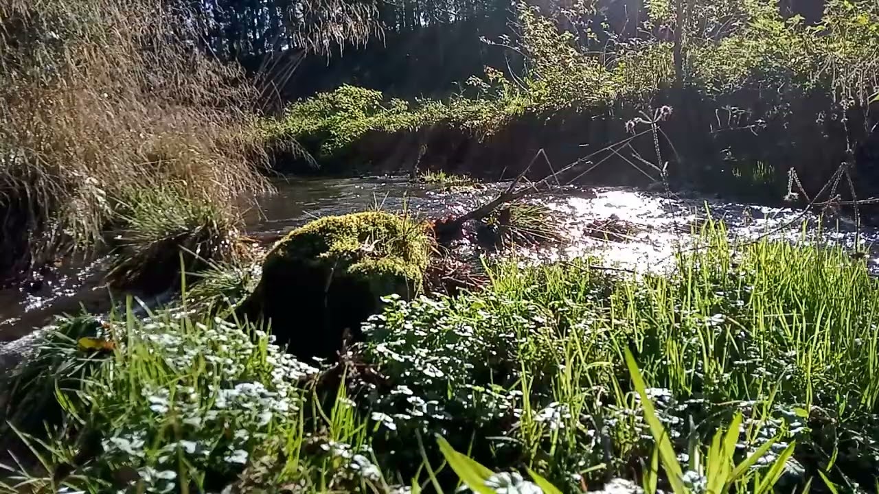 Sanfter Wasserlauf, Einschlafen in Minuten, Erholen & Regenerieren jetzt, Meditation, asmr