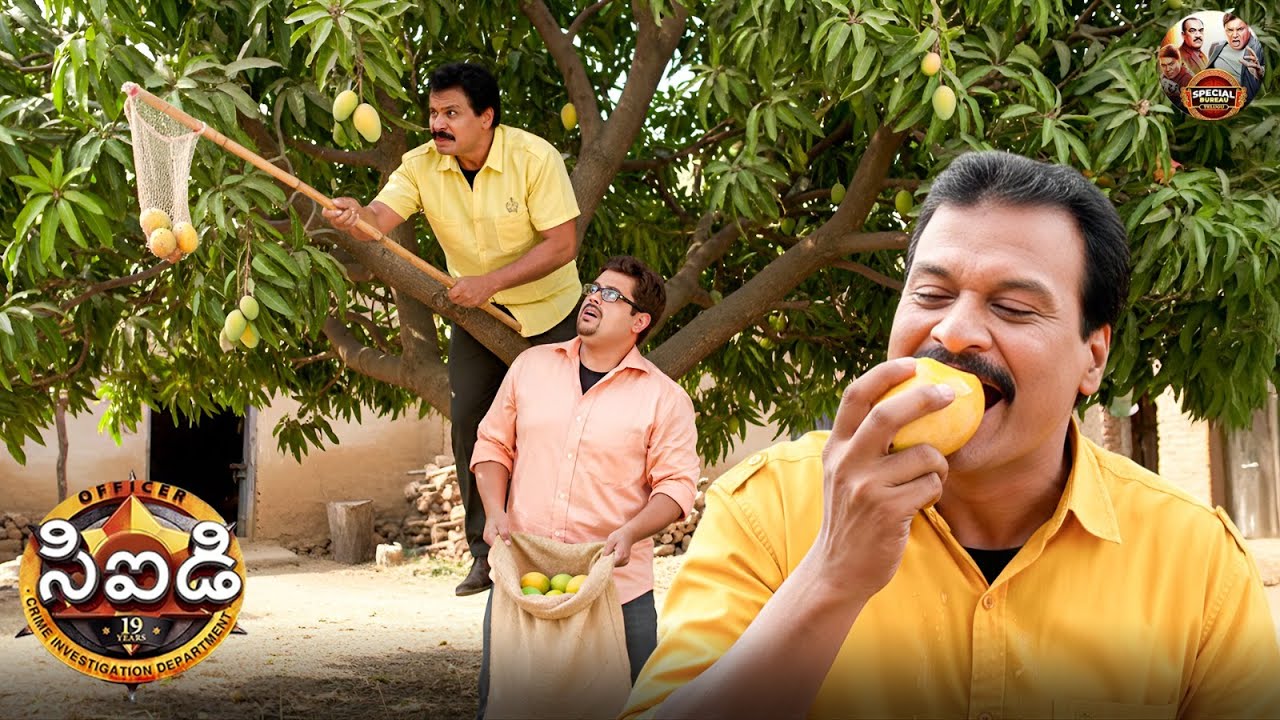 దర్యాప్తు సమయంలో ఫ్రెడ్డీ మరియు పంకజ్ మామిడి పండ్లను దొంగిలించినప్పుడు | CID | సీఐడీ | New EP 1351