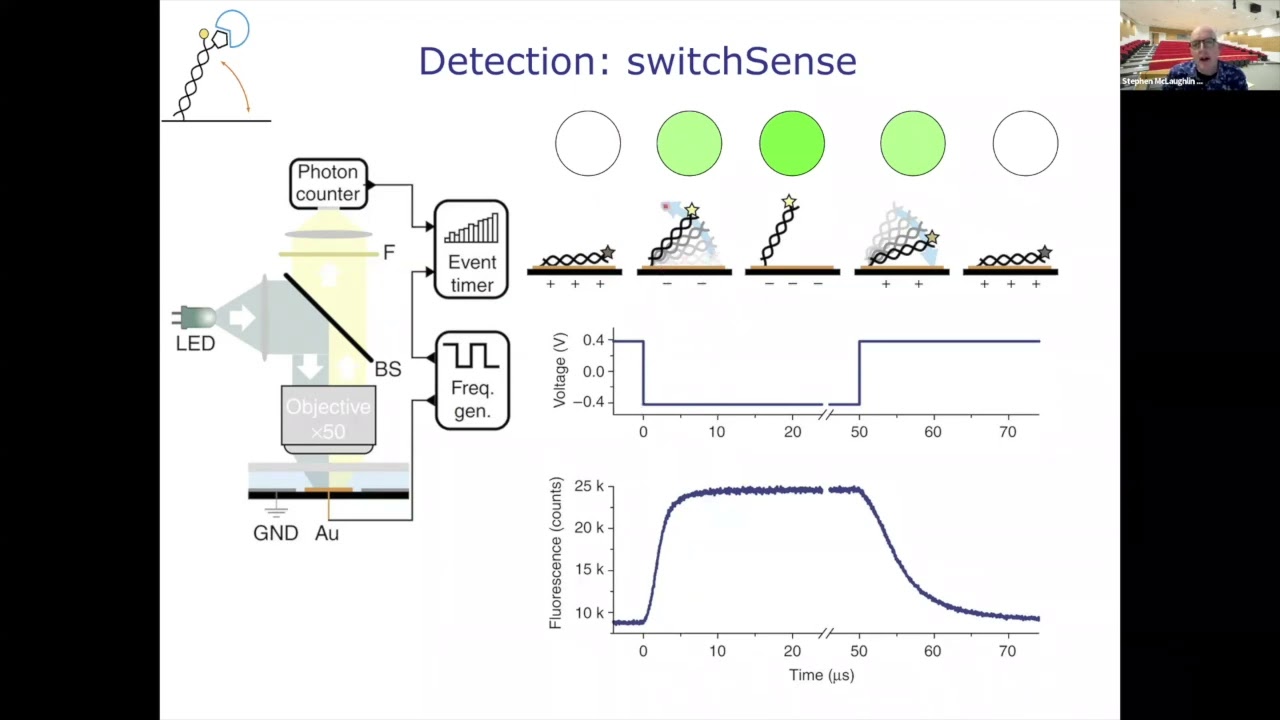 [TALK 8] Biosensor Technologies: SPR, BLI and DNA Nanolevers - Stephen McLaughlin