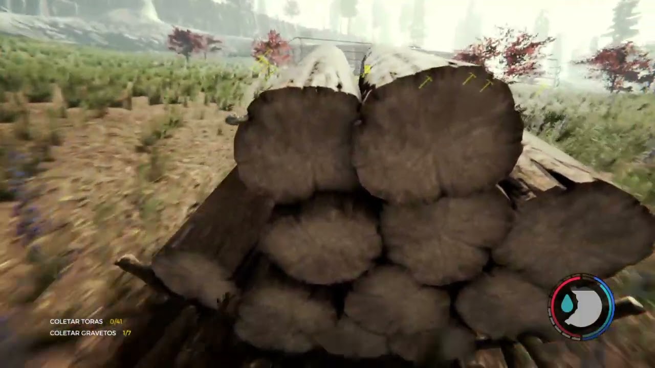 The Forest - Parte 11