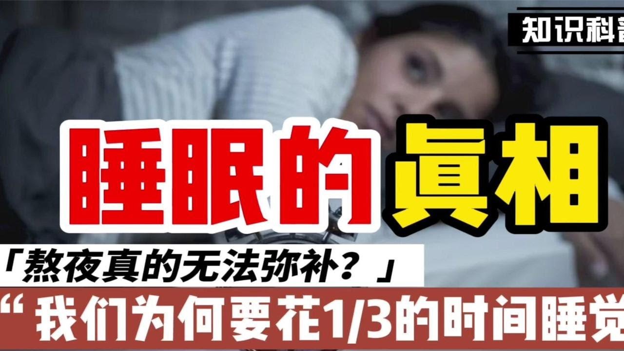 熬夜真的无法补救？睡眠只是醒着和昏睡这么简单？10分钟讲清楚
