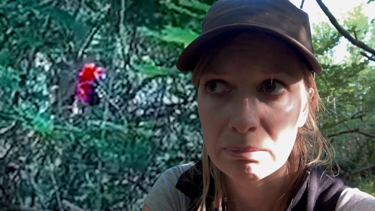 5 Verstörende Begegnungen im Wald auf Kamera Festgehalten
