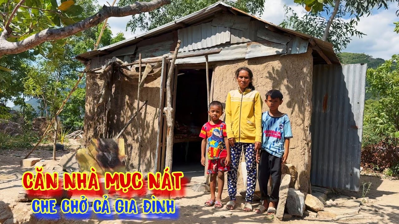 LỤM ĐÁ xây nhà, cả gia đình ăn nhín, nhịn ăn, xây dựng nơi TRÚ ẨN trong rừng - tập 1129