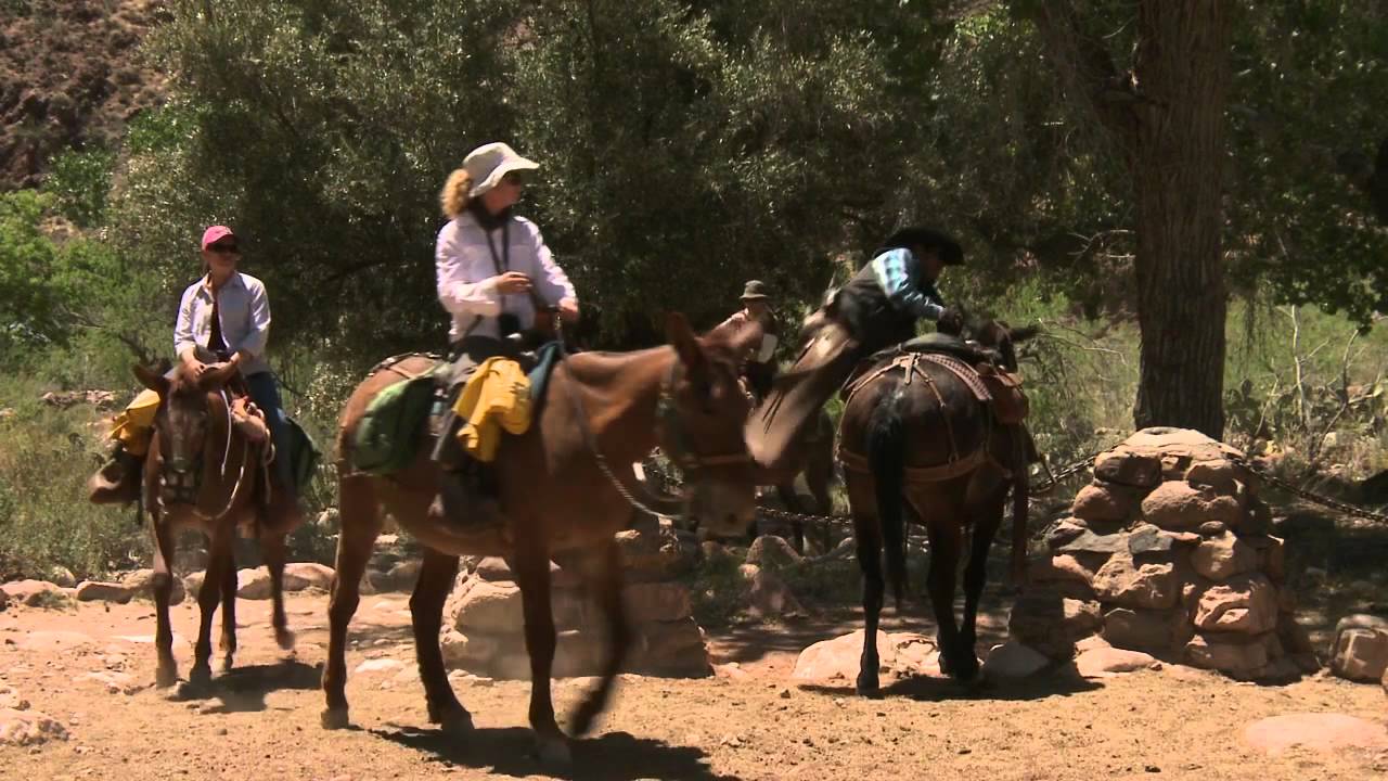 Phantom Ranch - Grand Canyon In Depth Episode 03