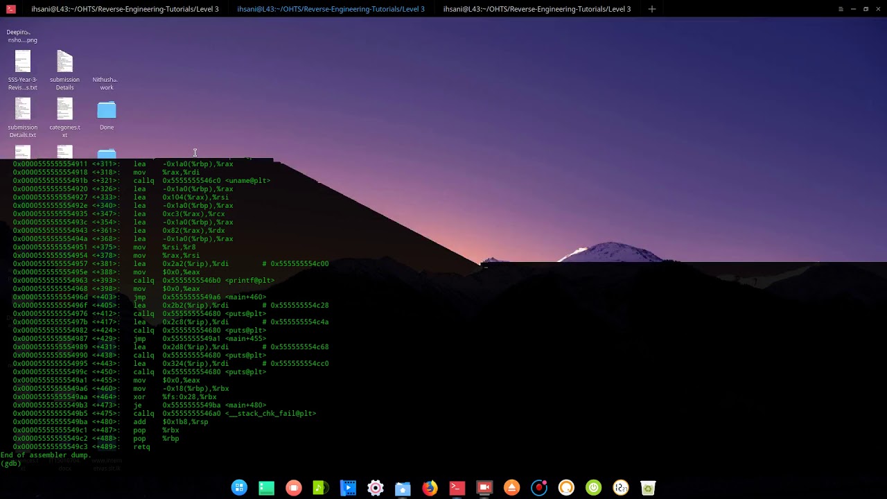 GeoSn0w's Reverse Engineering Tutorial 3
