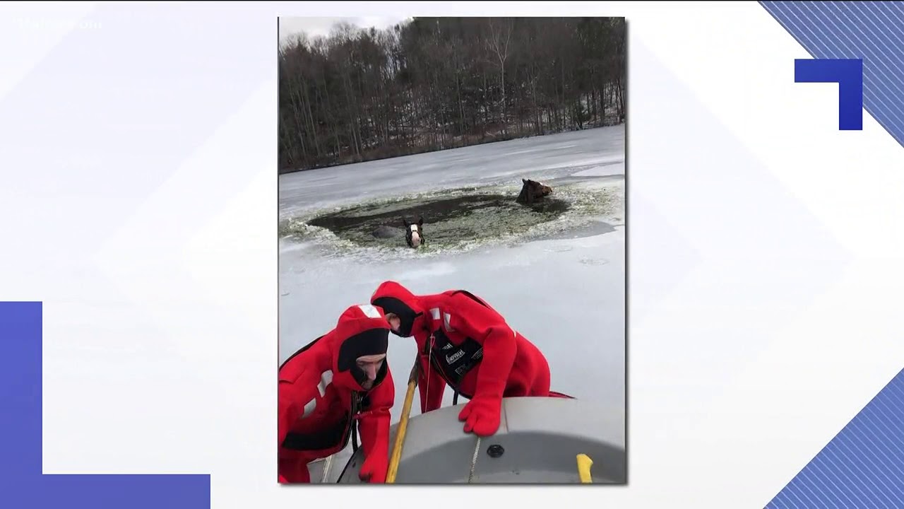Wow Moments: Feb. 17, 2019