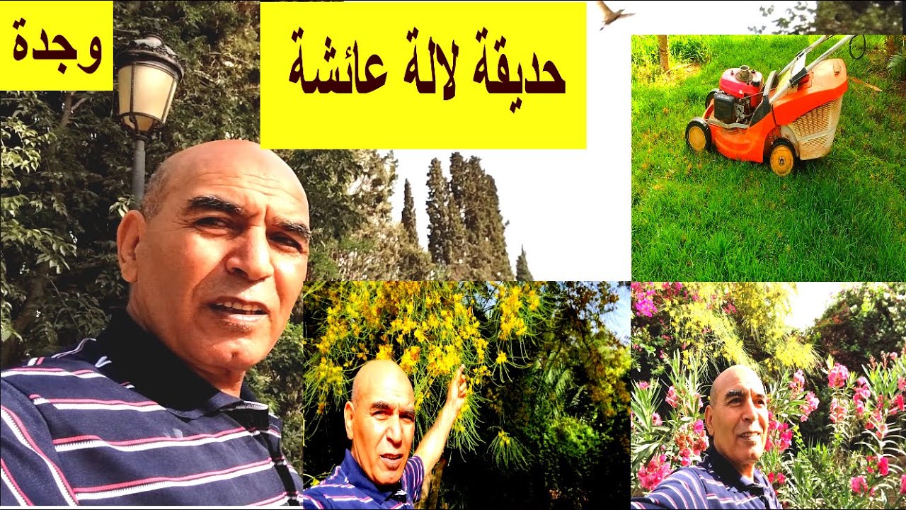 حديقة لالة عائشة اليوم وجدة مع بداية الصيف