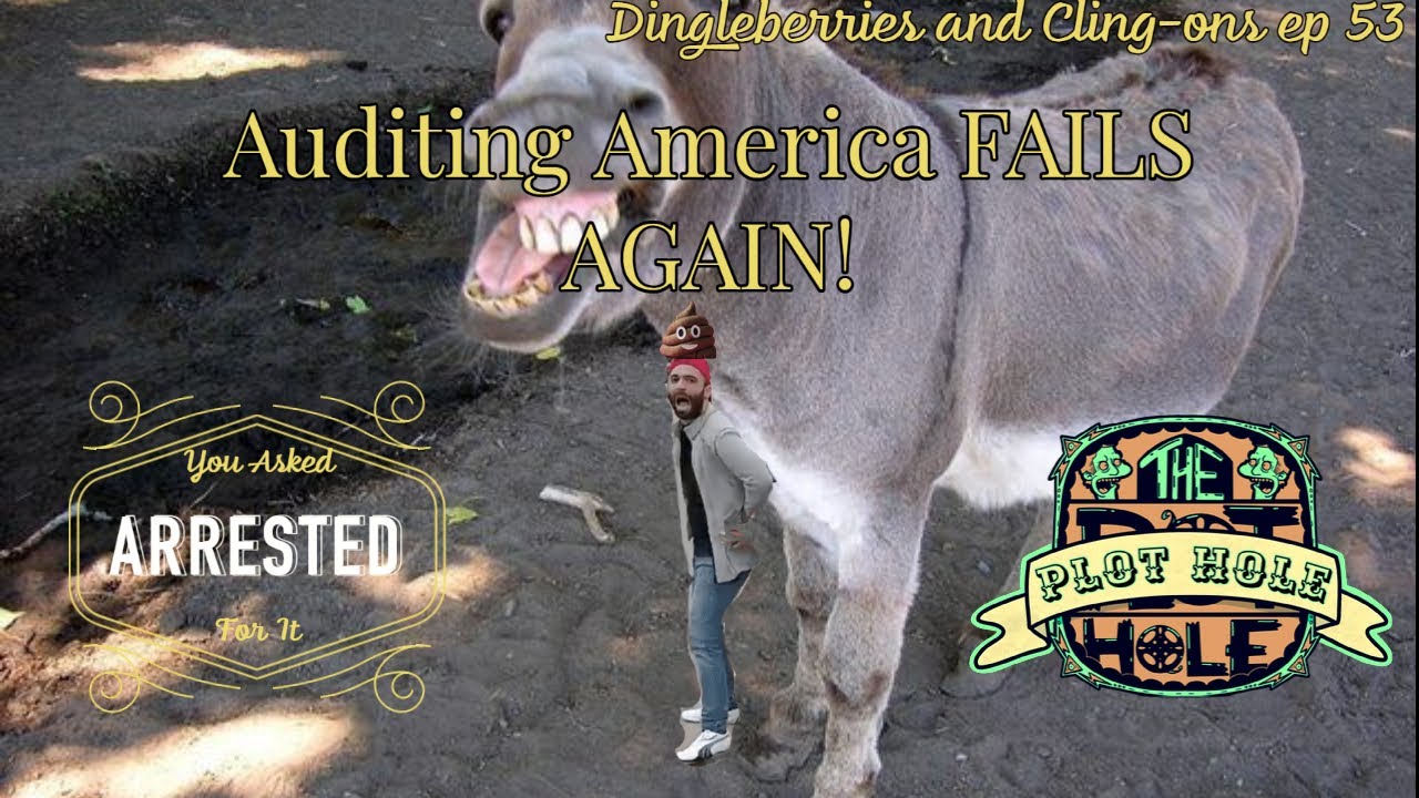 AUDITING AMERICA is WRONG AGAIN!