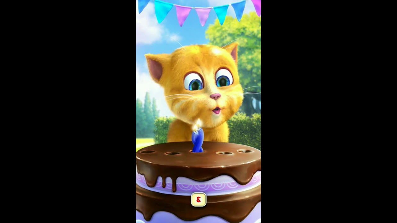 Talking Ginger Live Streaming
