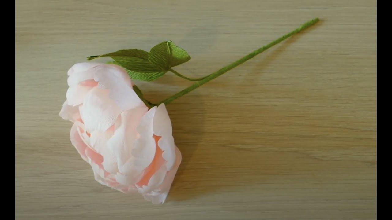 Crepe Paper Coral Charm Peony