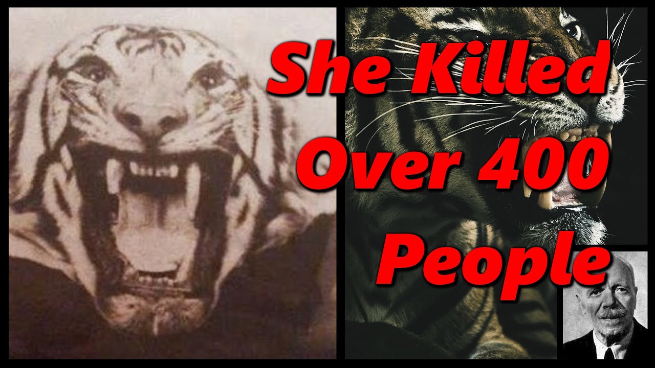 The Tiger with the Highest Kill Score | The Demon of Champawat | History in the Dark