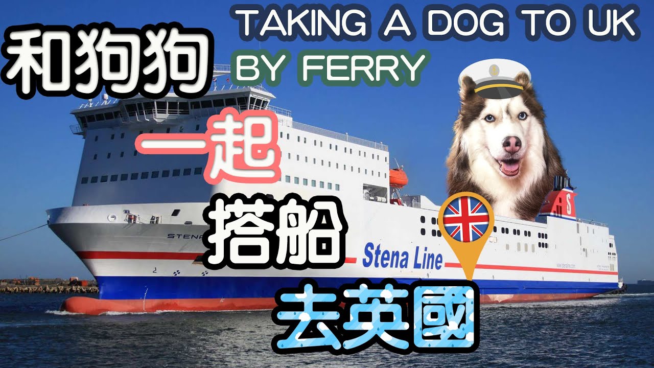 寵物移民英國 | 不坐飛機坐郵輪? 荷蘭坐船路線去英國 | TAKING A DOG TO UK BY STENA LINE FERRY
