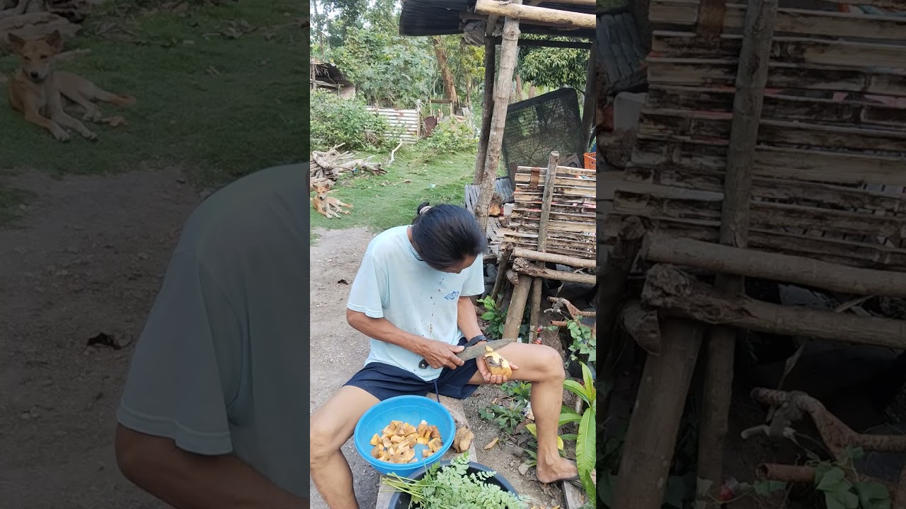 Magluto ta ug gulay