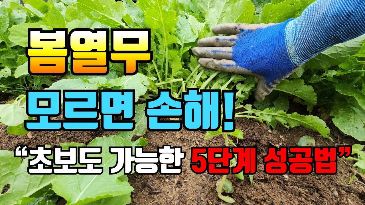3월 “이 5가지만 알면 열무 대성공! 봄철 재배 꿀팁”
