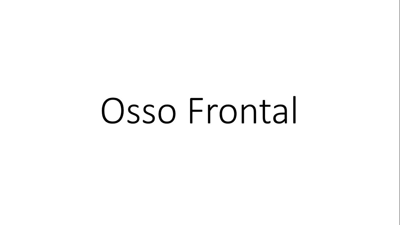 Cabeça - Osso Frontal
