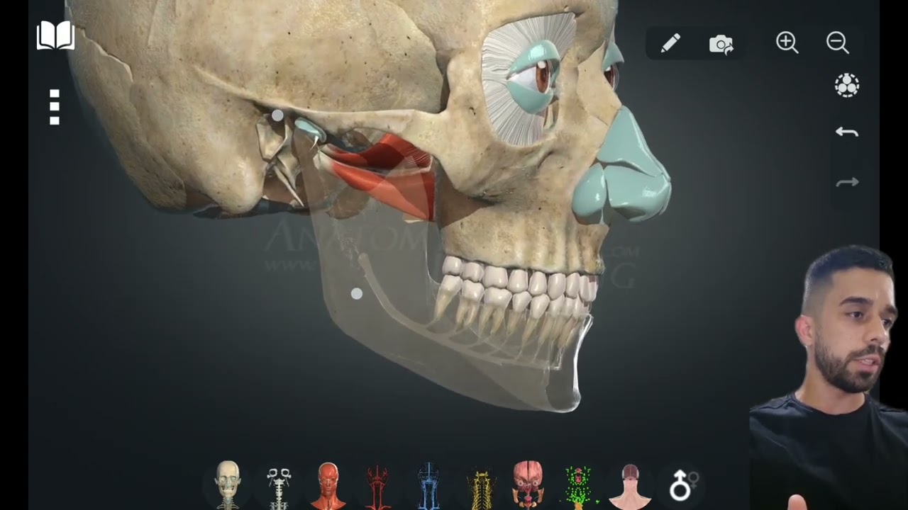 O que a Ciência diz sobre DTM? Anatomia, evidências científicas e FISIOTERAPIA!!
