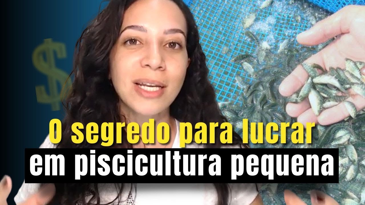 Área ideal para produzir mil peixes de forma lucrativa