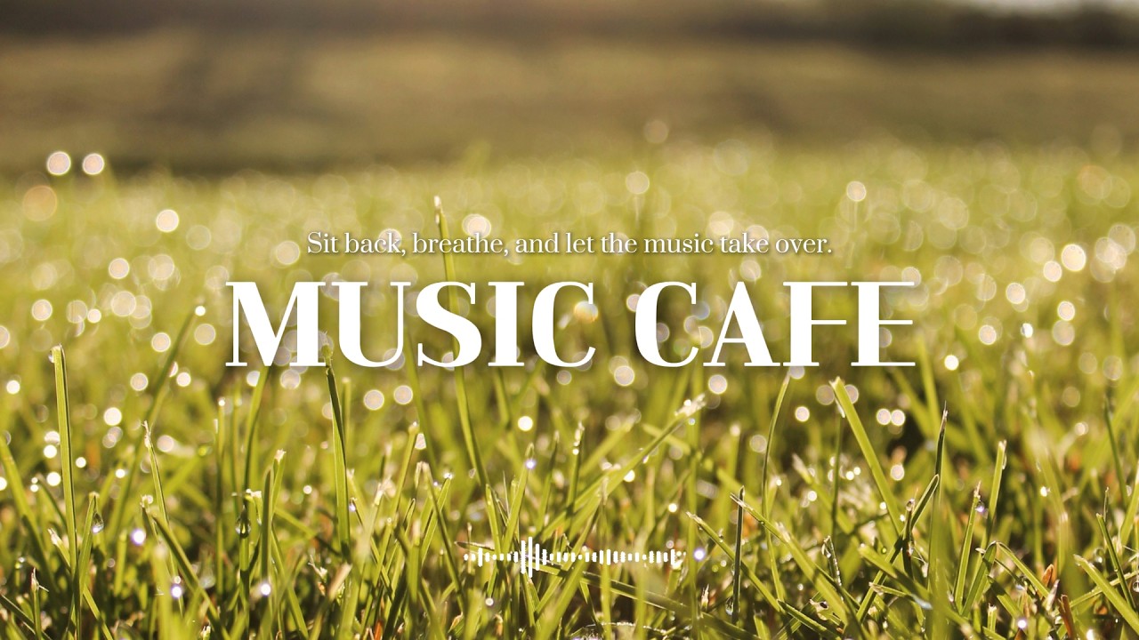 MUSIC CAFE Vol.8: Walking in the Light 🌿 빛 속을 걷다 | 기분 좋아지는 Chill Pop | 카페, 작업, 운전할 때 듣는 음악