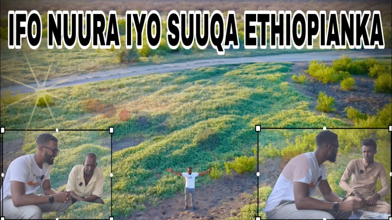 ETHIOPIANKA || Suuqa ugu caansan IFO 1 iyo Waqti qurux badan ankuqatay
