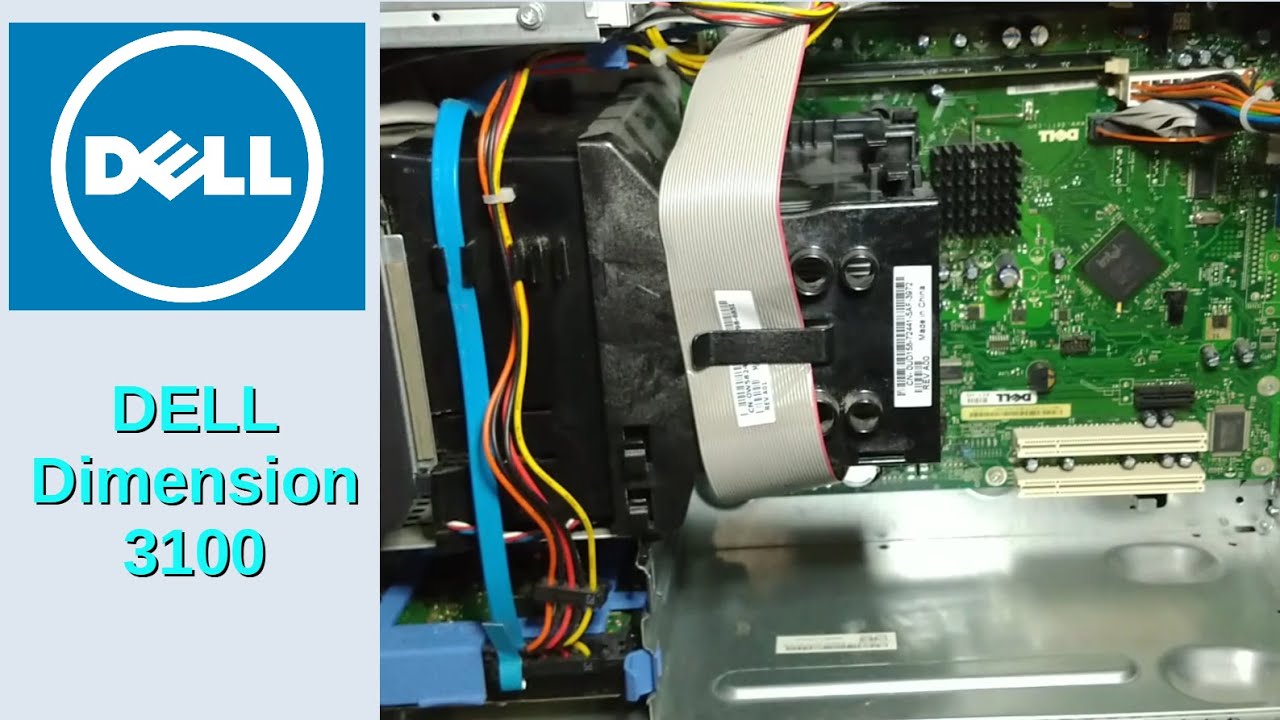 Dell Dimension 3100