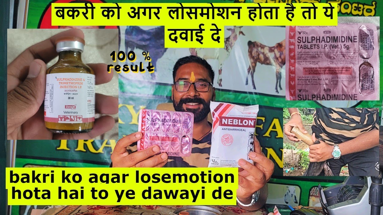 बकरी को अगर लोसमोशन होता है तो ये दवाई दे | bakri ko agar losemotion hota hai to ye dawayi de #bakri