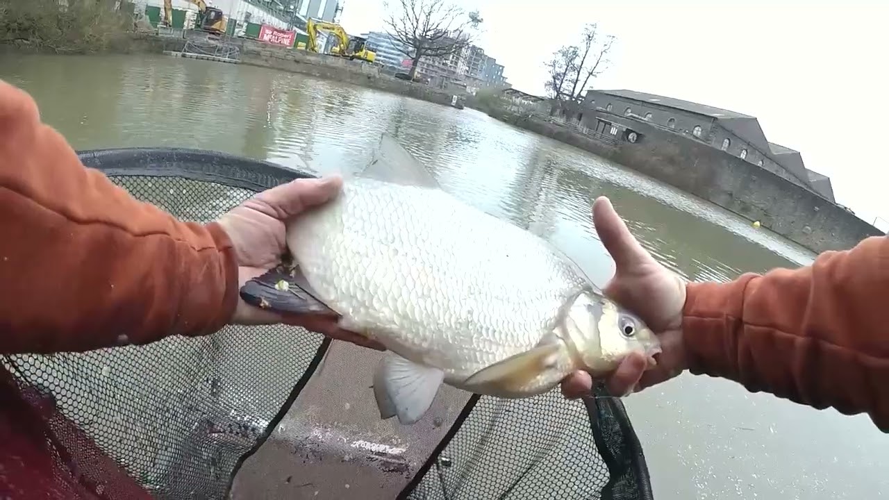 Bream on the Bread in the heart of Bristol City .