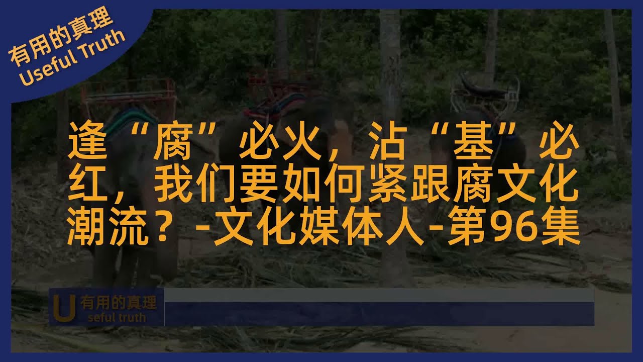 逢&ldquo;腐&rdquo;必火，沾&ldquo;基&rdquo;必红，我们要如何紧跟腐文化潮流？-文化媒体人-第96集