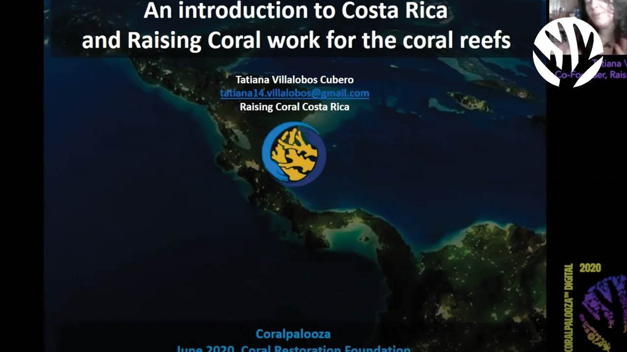 Costa Rican Restoration with Raising Coral: Tatiana Villalobos (Coralpalooza Digital 2020)