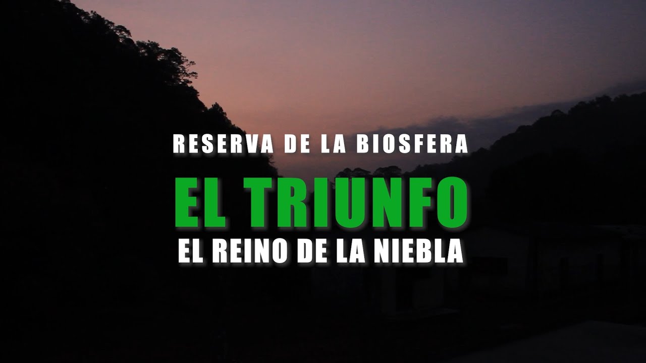 Reserva del triunfo - la visita