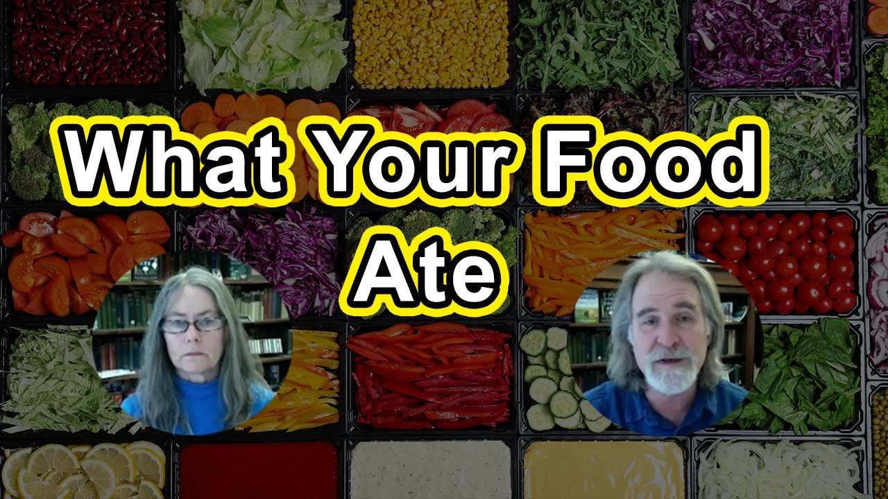 What Your Food Ate – The Neglected Factor In Human Health - David Montgomery and Anne Biklé