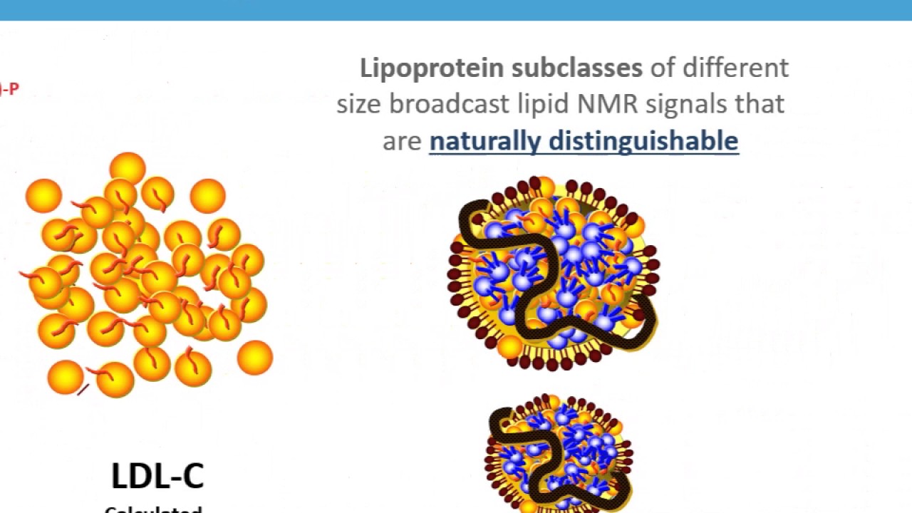 Low Density Lipoproteins