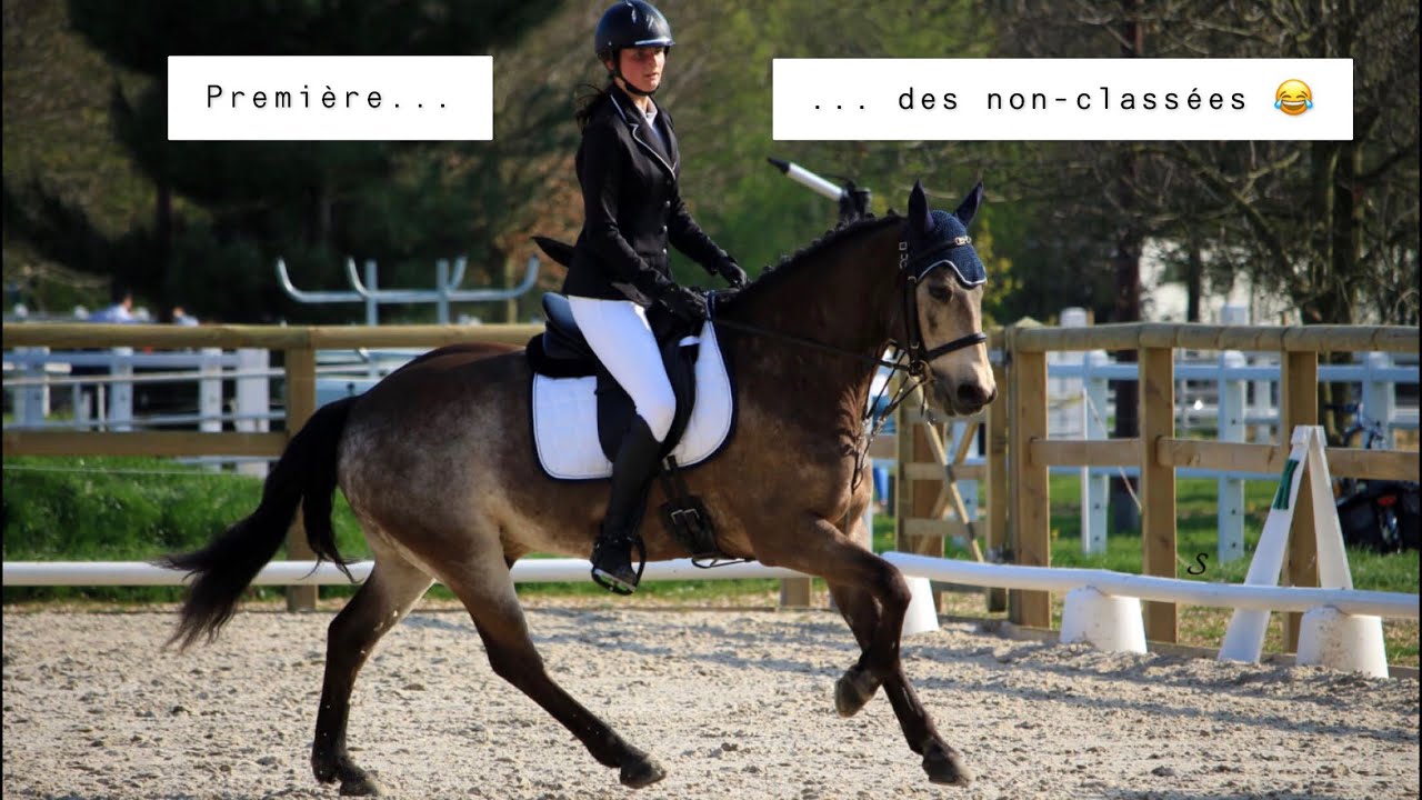*[CONCOURS]* Dressage Club 3 GP