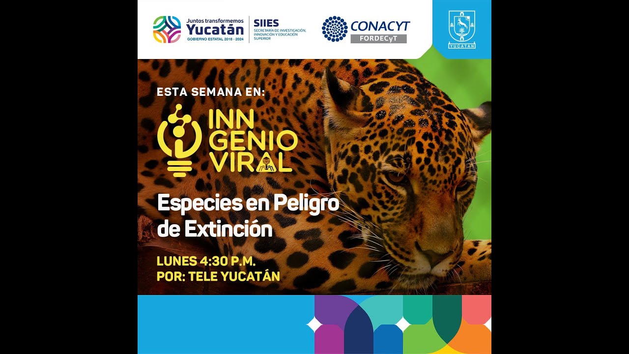04.  Especies protegidas