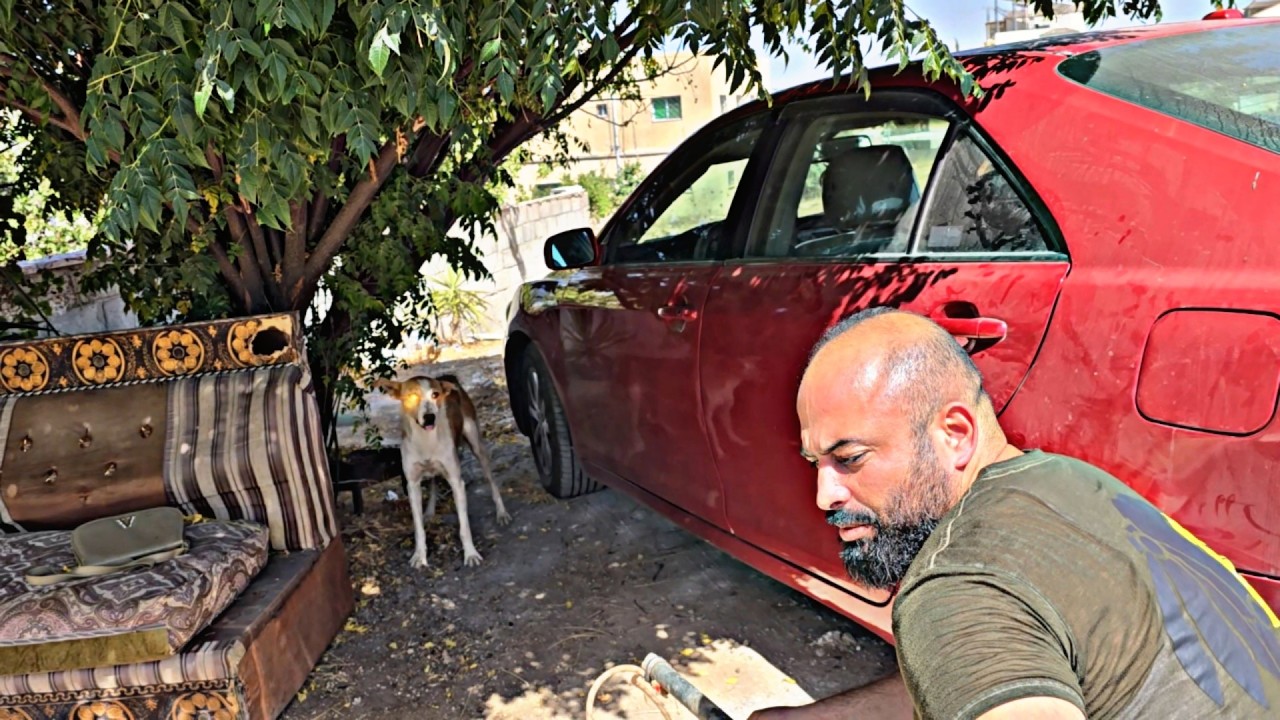 ما هو السبب الذي يمنع سكان المنزل من الخروج بسبب وجود كلب؟