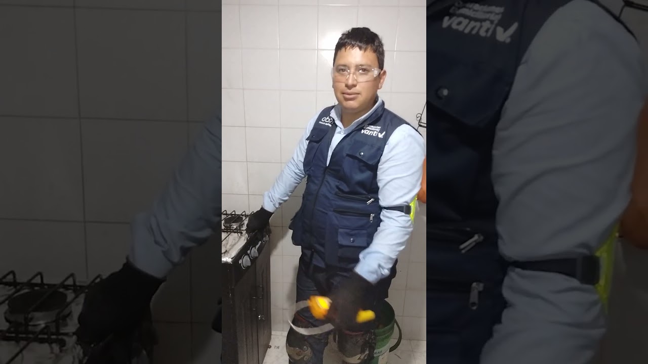 Revision periódica gas natural