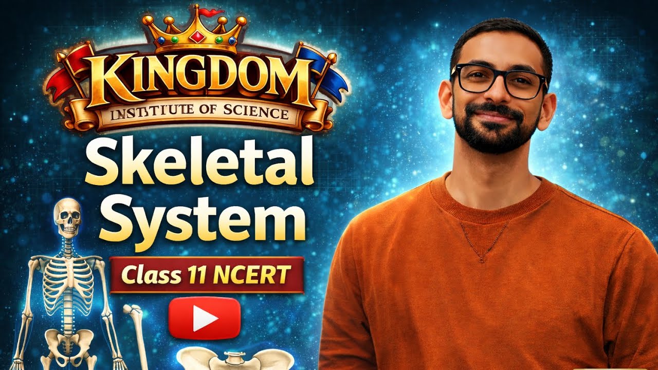 Skeletal System Class 11 NCERT | Human Skeleton & Bones Explained | L-01