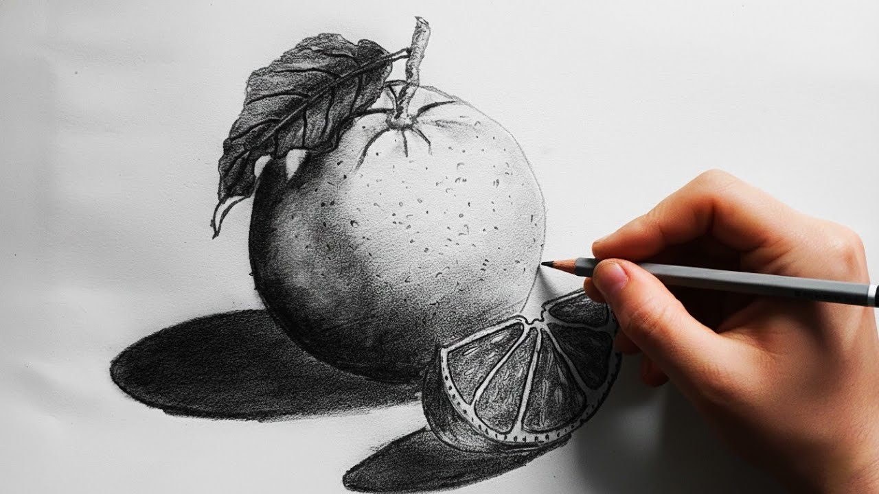 Realistic Orange Drawing Tutorial for Beginners | Step by Step Pencil Drawing