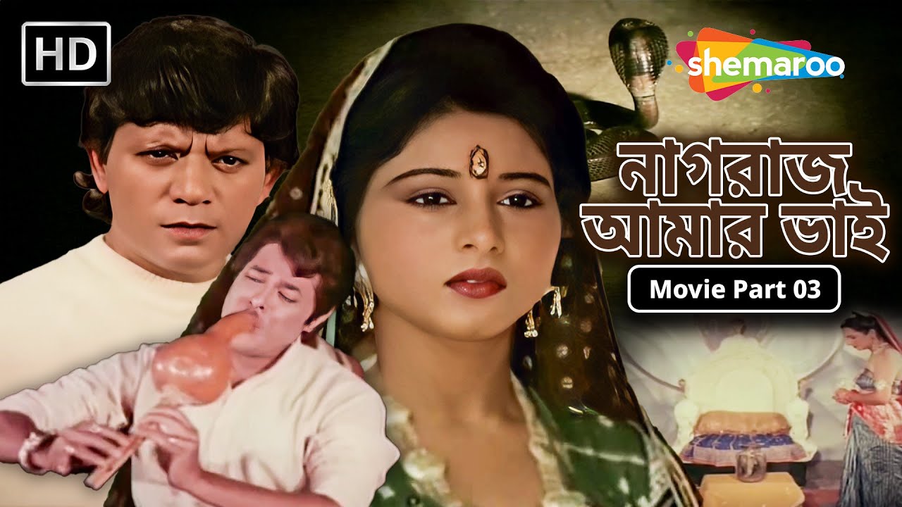 নাগরাজ আমার ভাই Movie Part 03 || সাহস ও প্রতিশোধ | Kiran, Zaveri, Ranjit | Dubb Movies