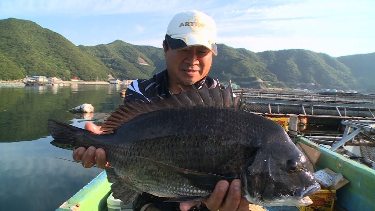 #206 電光石火！武士（もののふ）が魅せるカセ釣りの妙味～南宇和のロクマルチヌを狙う名人技～