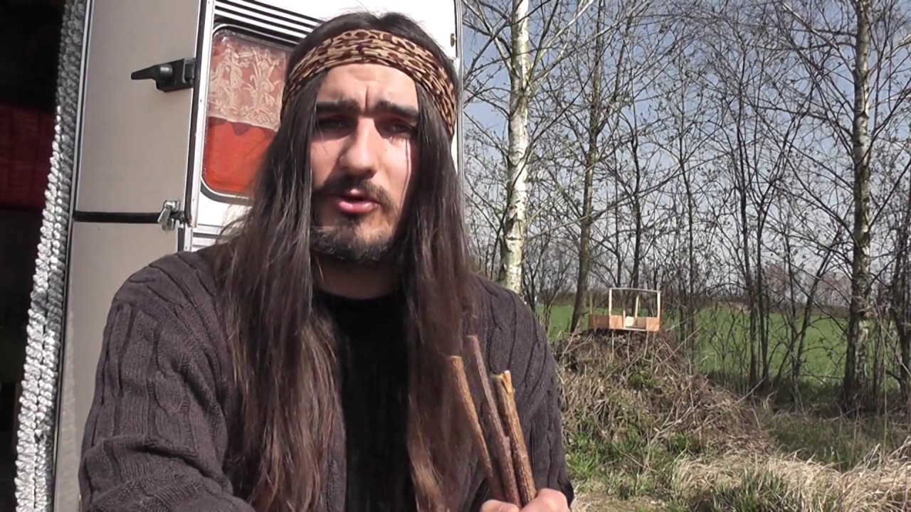 Odwar z kory kruszyny