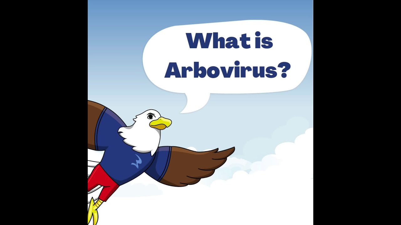 What is Arbovirus?
