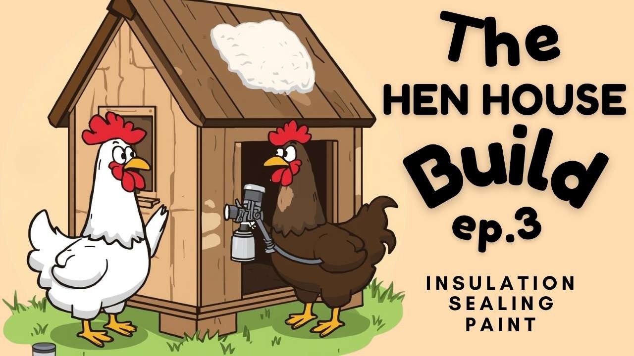 Why We Took Our Chicken Coop Apart...   Insulating & Painting - Part 3